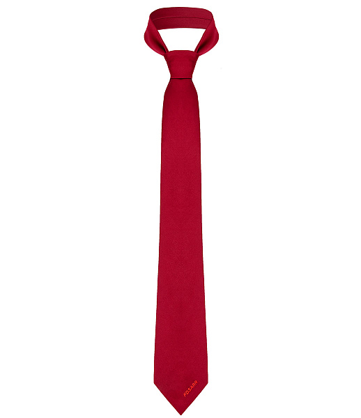Галстук мужской с вышивкой "FDSARR", цвет бордо